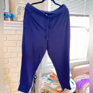 Fabletics Pants Womens Small Blue Lightweight Jogger Lounge Gym Soft Ladies a-11